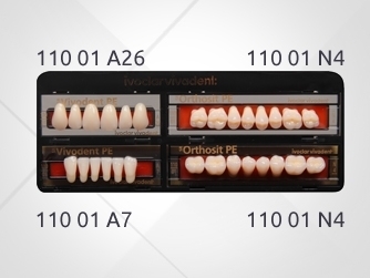 SR Vivodent S PE / SR Orthosit S PE