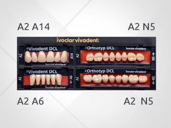 SR Vivodent DCL / SR Orthotyp DCL